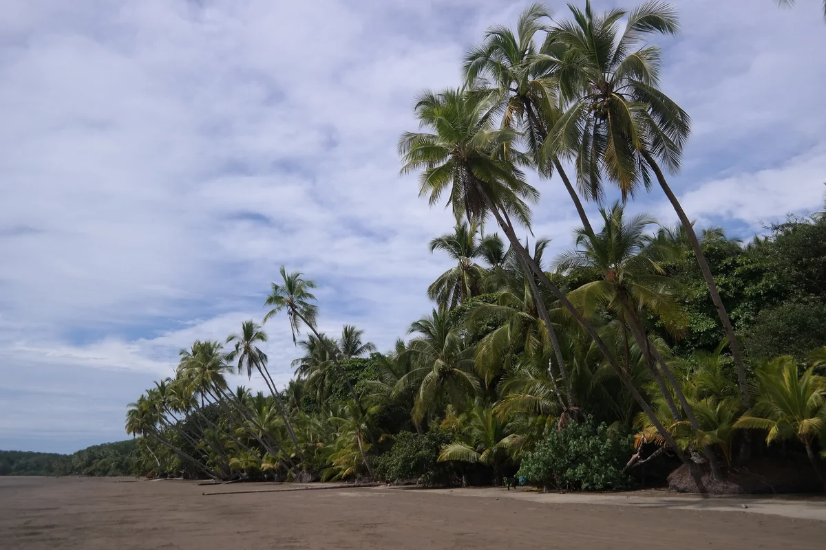 Playa Uvita in Marino Ballena National Park