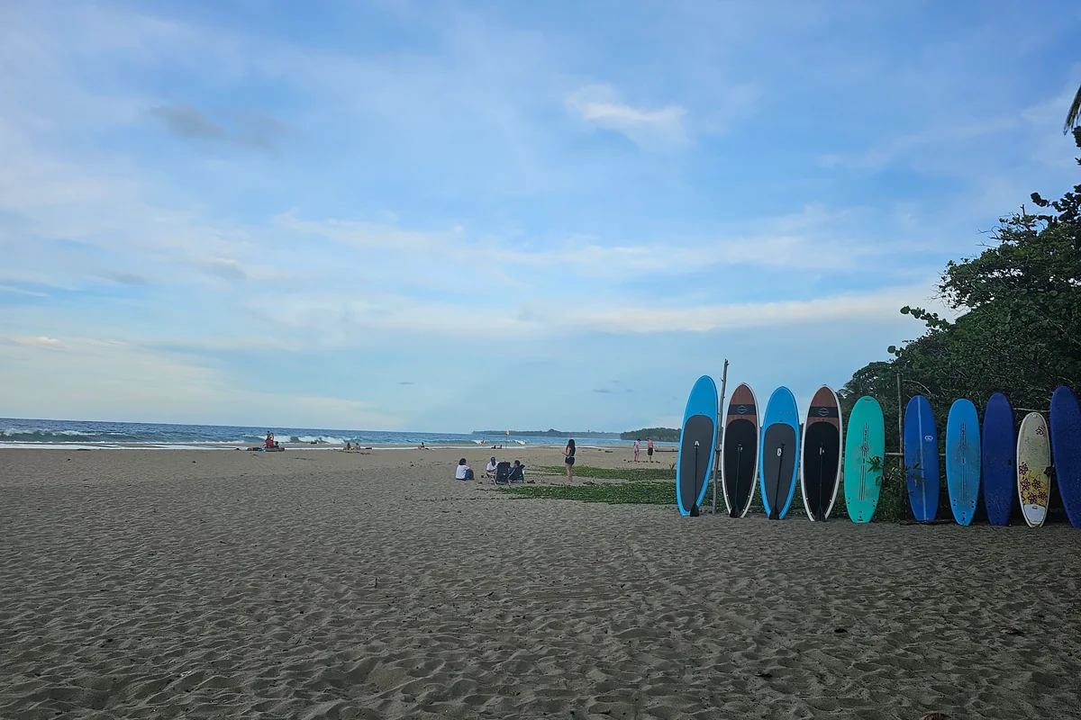 Surfboards on the beach near Puerto Viejo. Photo: Joshua ten Brink / WildPhotography.com